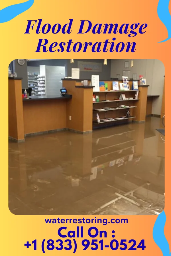 Flood Damage Restoration in Foothill Farms, CA